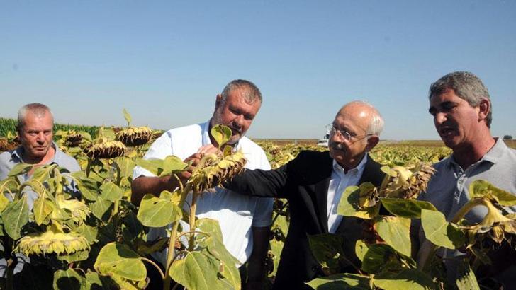 Kılıçdaroğlu: Ayçiçeği taban fiyatı ton başına 16 bin lira olmalı