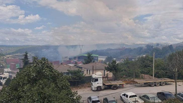 Gebze’de orman yangını