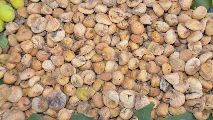 Sezonun ilk kuru inciri, kilosu 400 liradan alındı