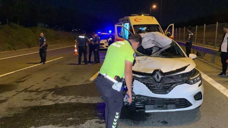 TEM Otoyolu'nda yolun karşısına geçmeye çalışan yaya kazada öldü