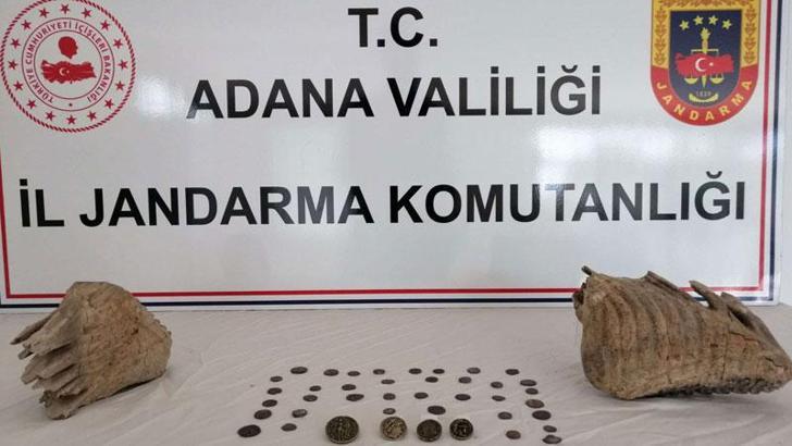Adana'da, otomobilde mamut fosilleri ele geçirildi