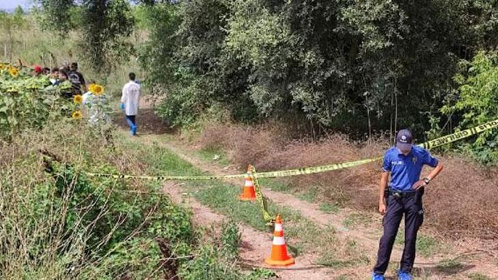 Çatalca’da ayçiçeği tarlasında ceset bulundu
