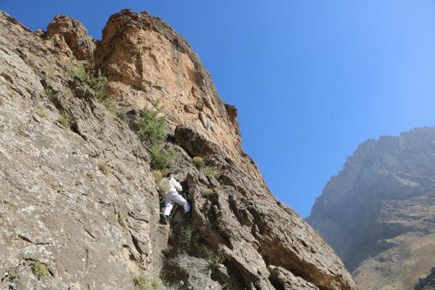 4 bin 135 rakımlı Cilo Dağı'na 'kaya balı' tırmanışı