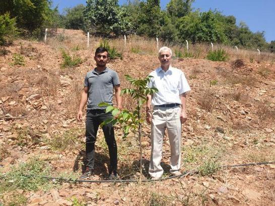 Bahçe’de yüzde 70 hibe destekli ceviz bahçesi kuruldu