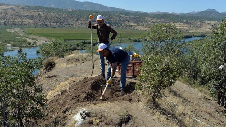 Sebeterias Kalesi'ni gün yüzüne çıkaracak kazı çalışmalarına başlandı
