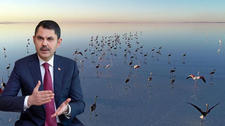 Bakan Kurum: Flamingolar kurtuldu, göçe hazırlanıyor