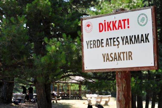Mangal yasağı piknikçileri küstürdü ama yaban hayatı canlandı