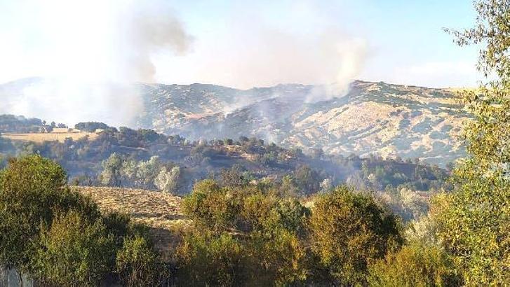 Tunceli'de örtü yangını