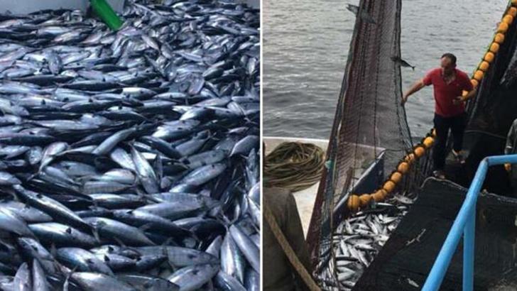 Bakanlık: Av sezonunun verimli geçmesi bekleniyor