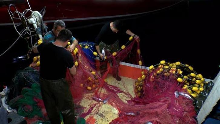 Av sezonunun açılmasıyla Gürpınar Balık Hali'nde ilk mezatlar gerçekleşti