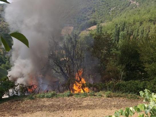 Adana'da ormana yakın ev, alev alev yandı