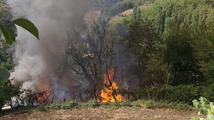 Adana'da ormana yakın ev, alev alev yandı
