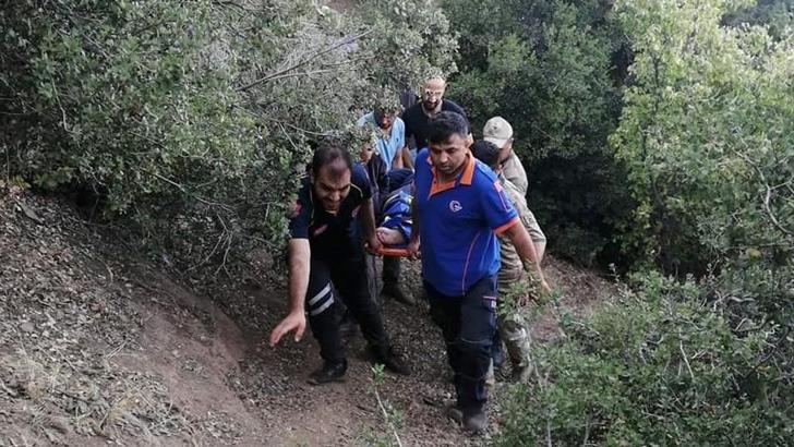 Ağaçtan düşüp ayağı kırılan kadına AFAD kurtardı