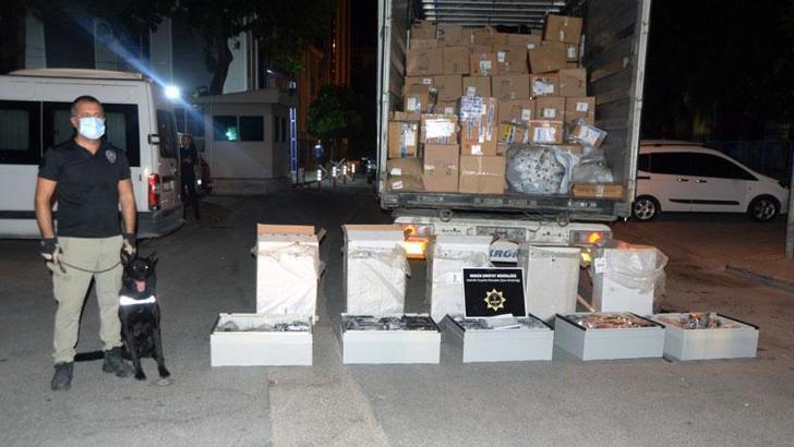 Kargo paketlerinden 56 kilo esrar çıktı