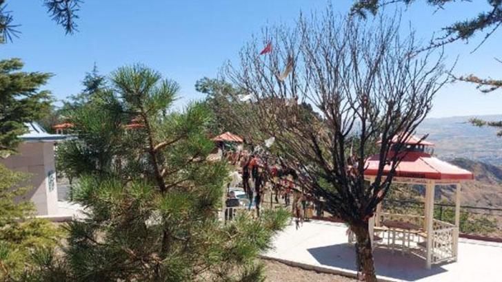 Cemevinin dilek ağacını yakan 2 kişiye gözaltı