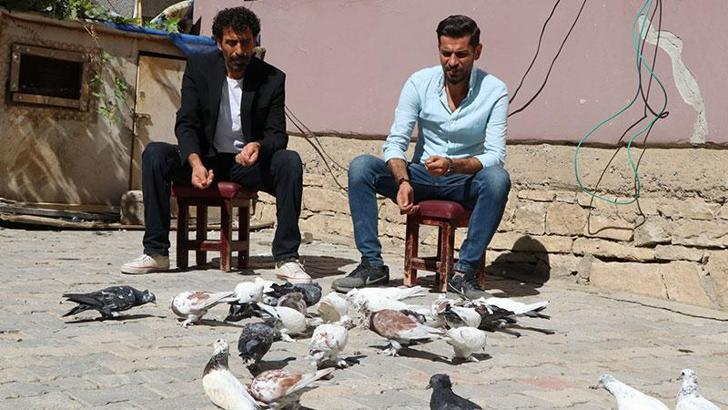 Havada 9 saat kalabilen güvercinler, birincilik getirdi