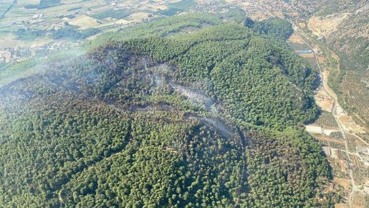 Muğla'da orman yangını (5)
