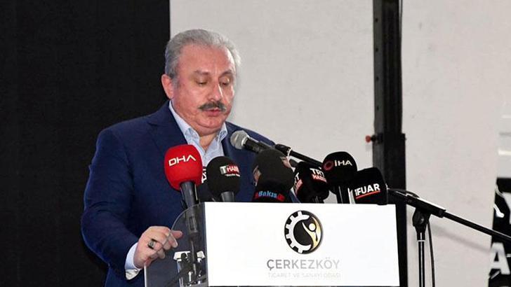 Şentop: Birlik ve dirliğimiz bozulursa, telafisi imkansız zararlar meydana gelecektir