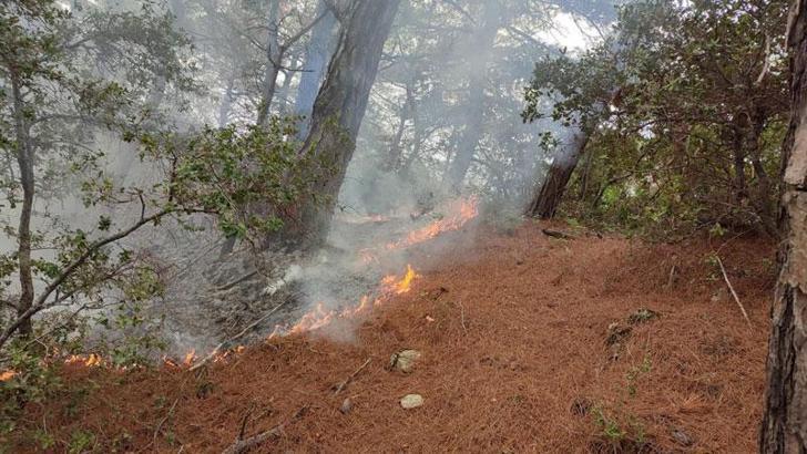 Amanoslar'da yıldırım düşmesiyle çıkan yangın söndürüldü