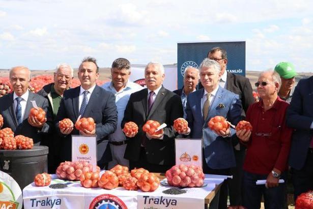 Coğrafi işaretle tescillenen Tekirdağ soğanında ilk hasat