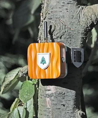 Enerjisa Enerji’ ye 3 uluslararası ödül