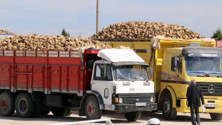 Eskişehir'de şeker pancarları fabrikaya teslim edilmeye başladı