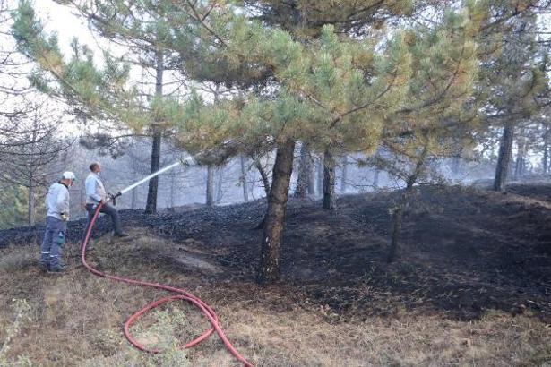 Afyon'da orman yangını büyümeden söndürüldü