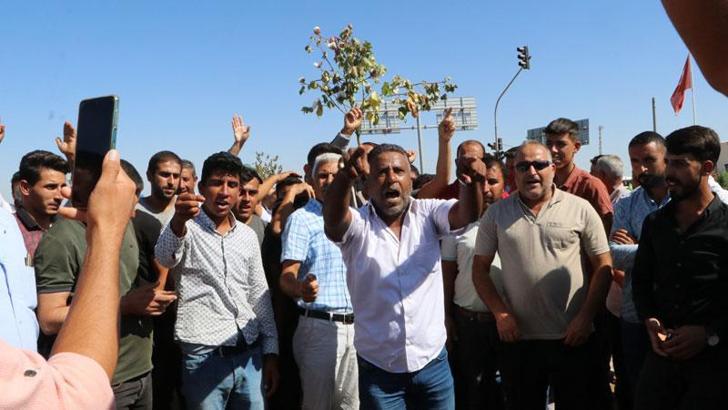 Şanlıurfa'da çiftçiler, pamuk fiyatının düşük olduğu gerekçesiyle eylem yaptı