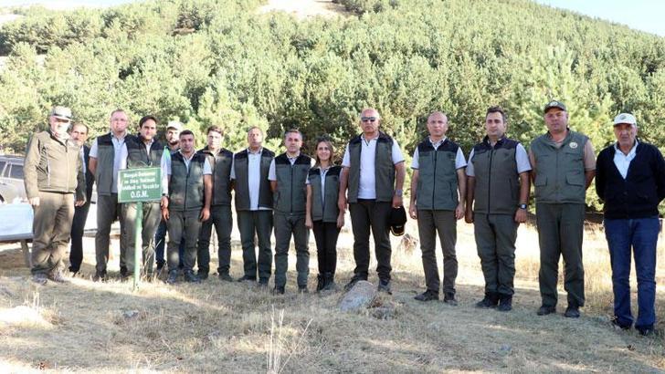 Palandöken'deki 40 yıllık ormanda gençleştirme çalışması yapılacak