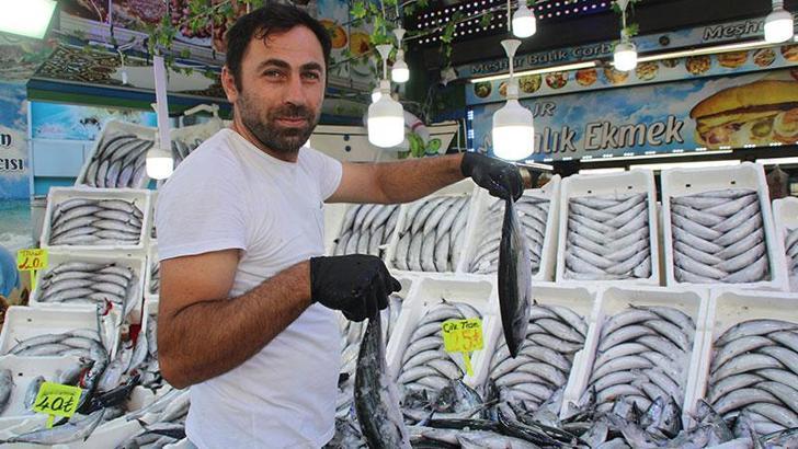 Karadeniz'de palamut bolluğu; fiyatı düştü