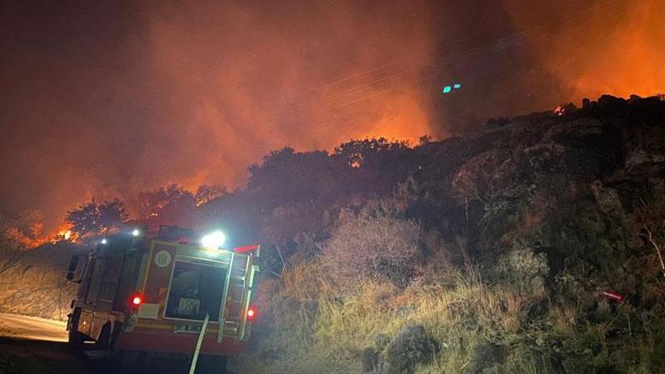 Bodrum'da makilik yangını; 5 dönüm zarar gördü