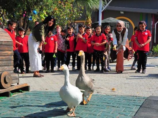 Okulun bahçesinde mini hayvanat bahçesi