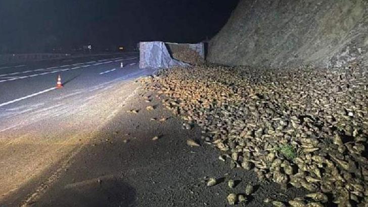 Elazığ'da kontrolden çıkan şeker pancarı yüklü TIR devrildi: 1 yaralı