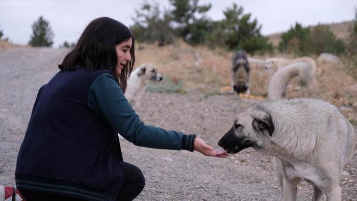 High school student feeds stray animals every day