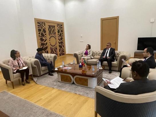 ULUSKON Başkanı Nezaket Atasoy: Türkiye ve Etiyopya arasındaki iş birliğini derinleştireceğiz