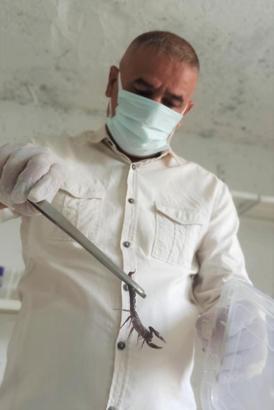 Evinin altına akrep çiftliği kurdu