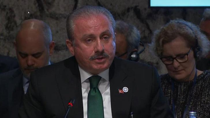 Meclis Başkanı Şentop, Kırım Platformu Birinci Parlamenter Zirvesi’nde konuştu