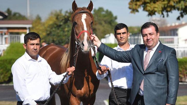 TİGEM'den 14 milyon TL'lik elit tay satışı