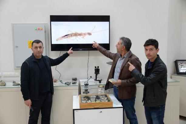 Diyarbakır'da yol çalışmasında bulunan mağarada yeni bir böcek türü ortaya çıktı