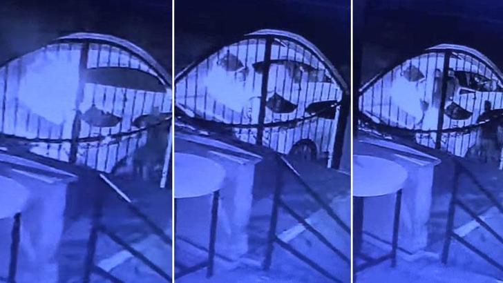 Şişli'deki kadın kaçırma cinayetinde gözaltı sayısı 6'ya çıktı