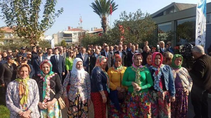 Ayvalık 17'nci Uluslararası Zeytin Hasat Festivali başladı