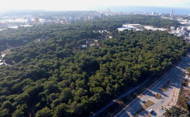 Tahsis talebine yine ret