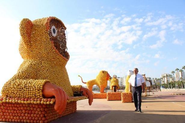 Mersin Narenciye Festivali hazırlıkları sürüyor