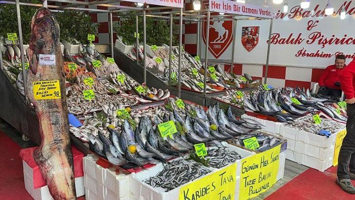 2,55 metre ve 98 kiloluk yayın balığı tezgahta