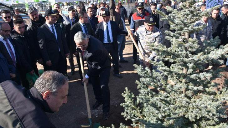 Eskişehir'de 15 noktada 49 bin fidan toprakla buluşturuldu