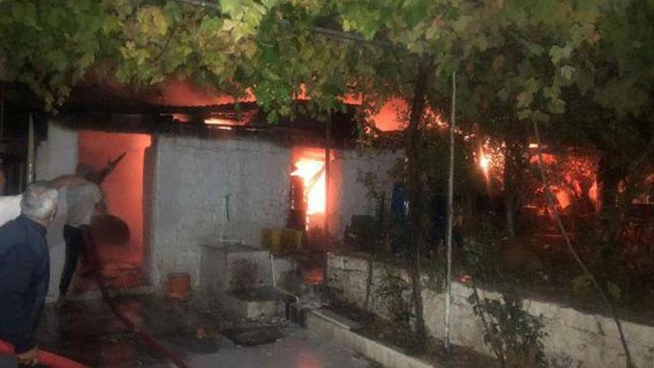 Muğla'da ahır yangını; 3 küçükbaş öldü