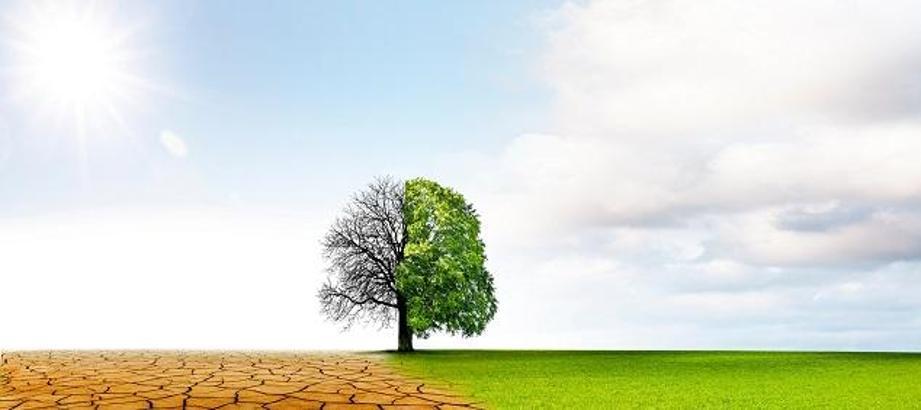 "Gelişmiş ülkeler kayıp ve zarar fonunun kurulmasına yanaşmıyor"