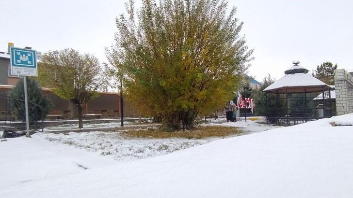 Van'da kar yağışı