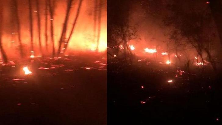 Kandıra’da ormanlık alanda çıkan yangın söndürüldü