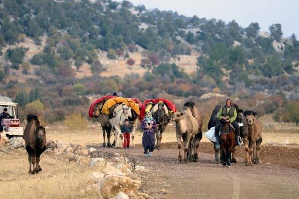 Yörüklerin 'kış yurdu' göçü